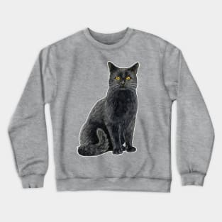 Black cat with golden eyes Crewneck Sweatshirt